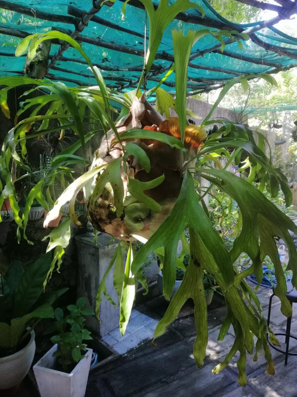 Sinali Villa Habaraduwa Central 외부 사진