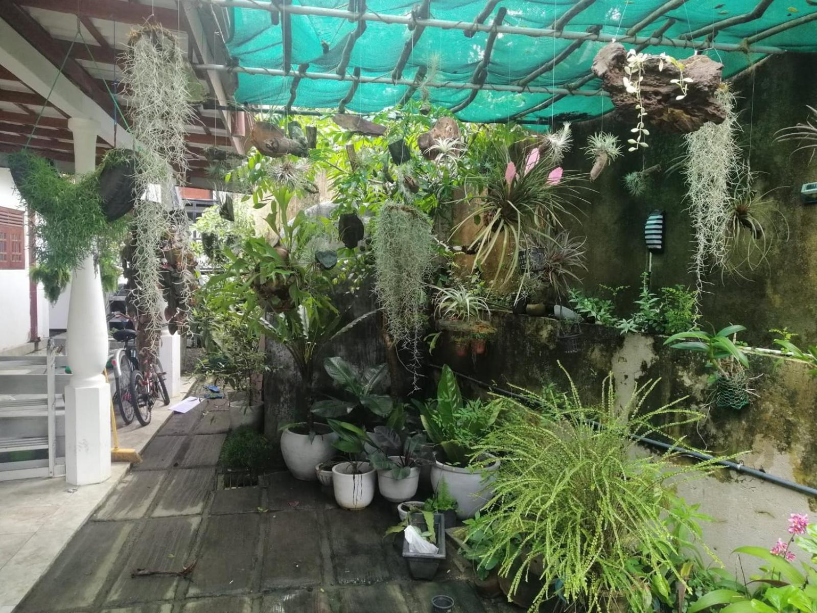 Sinali Villa Habaraduwa Central 외부 사진