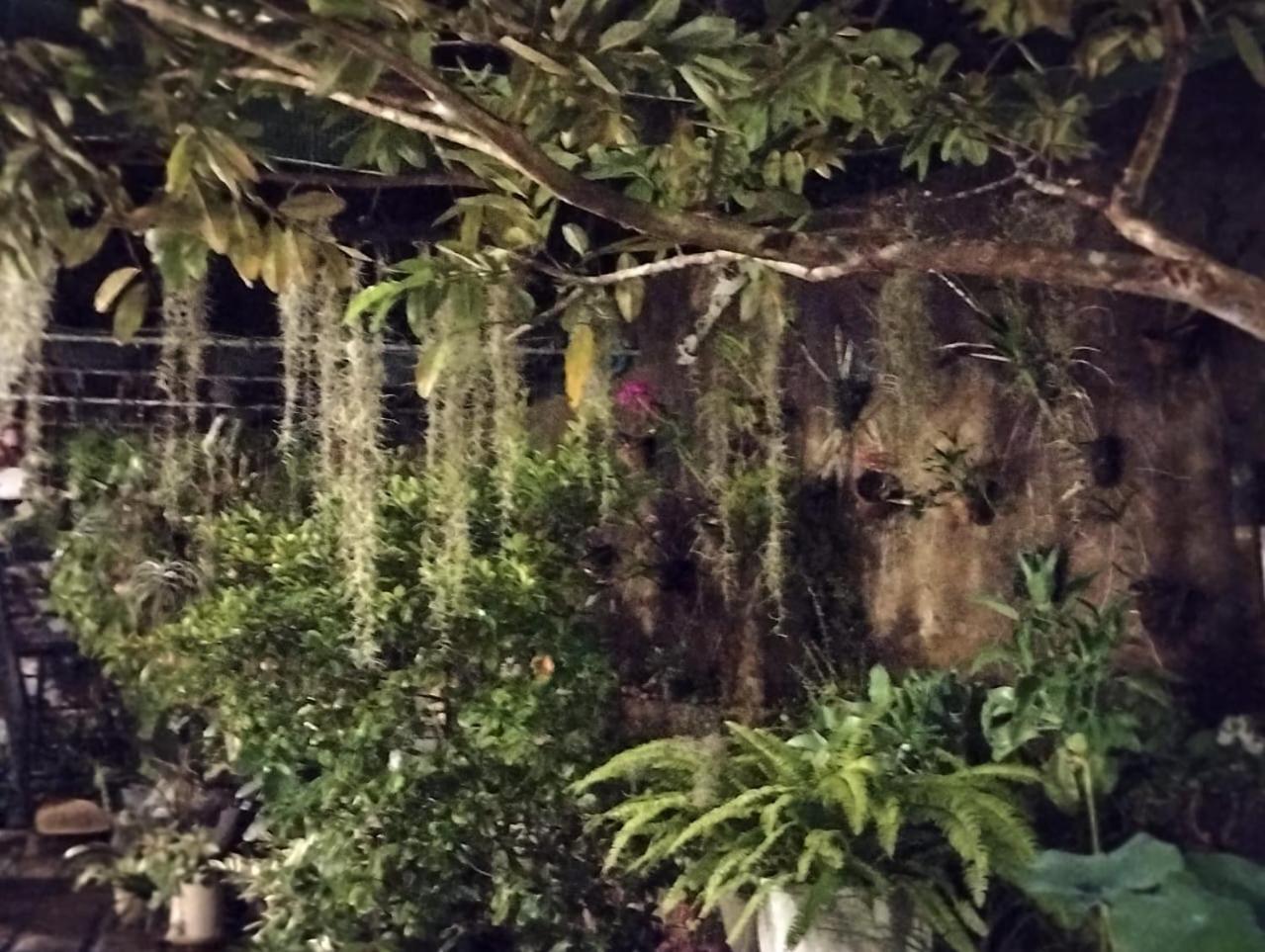 Sinali Villa Habaraduwa Central 외부 사진